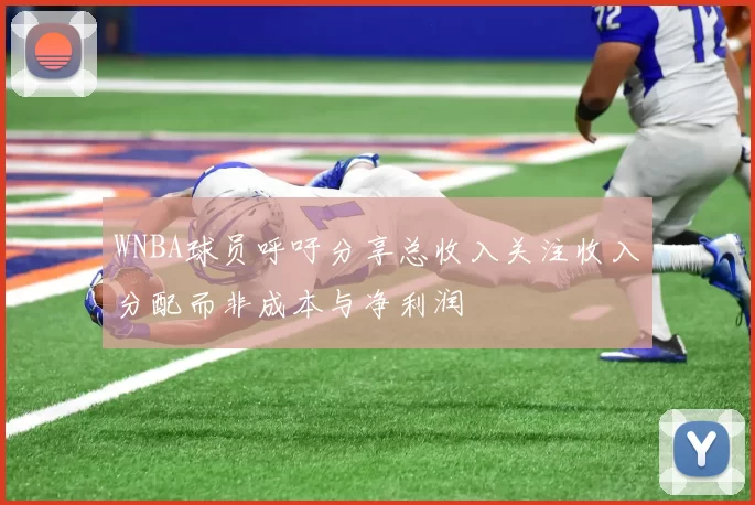 WNBA球员呼吁分享总收入关注收入分配而非成本与净利润