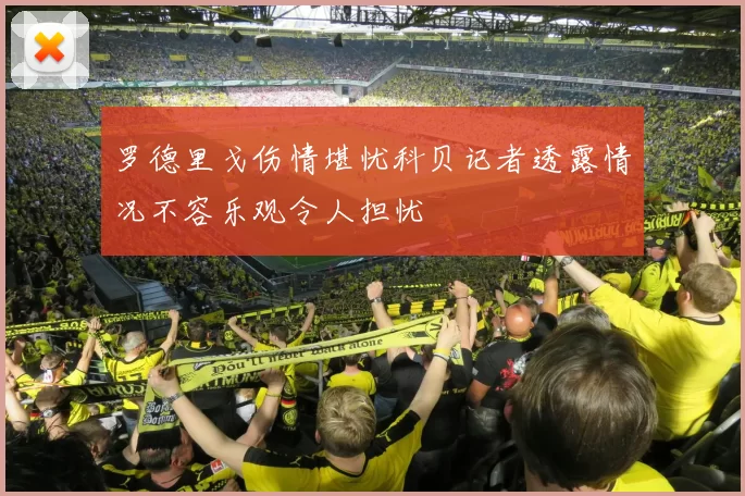 罗德里戈伤情堪忧科贝记者透露情况不容乐观令人担忧